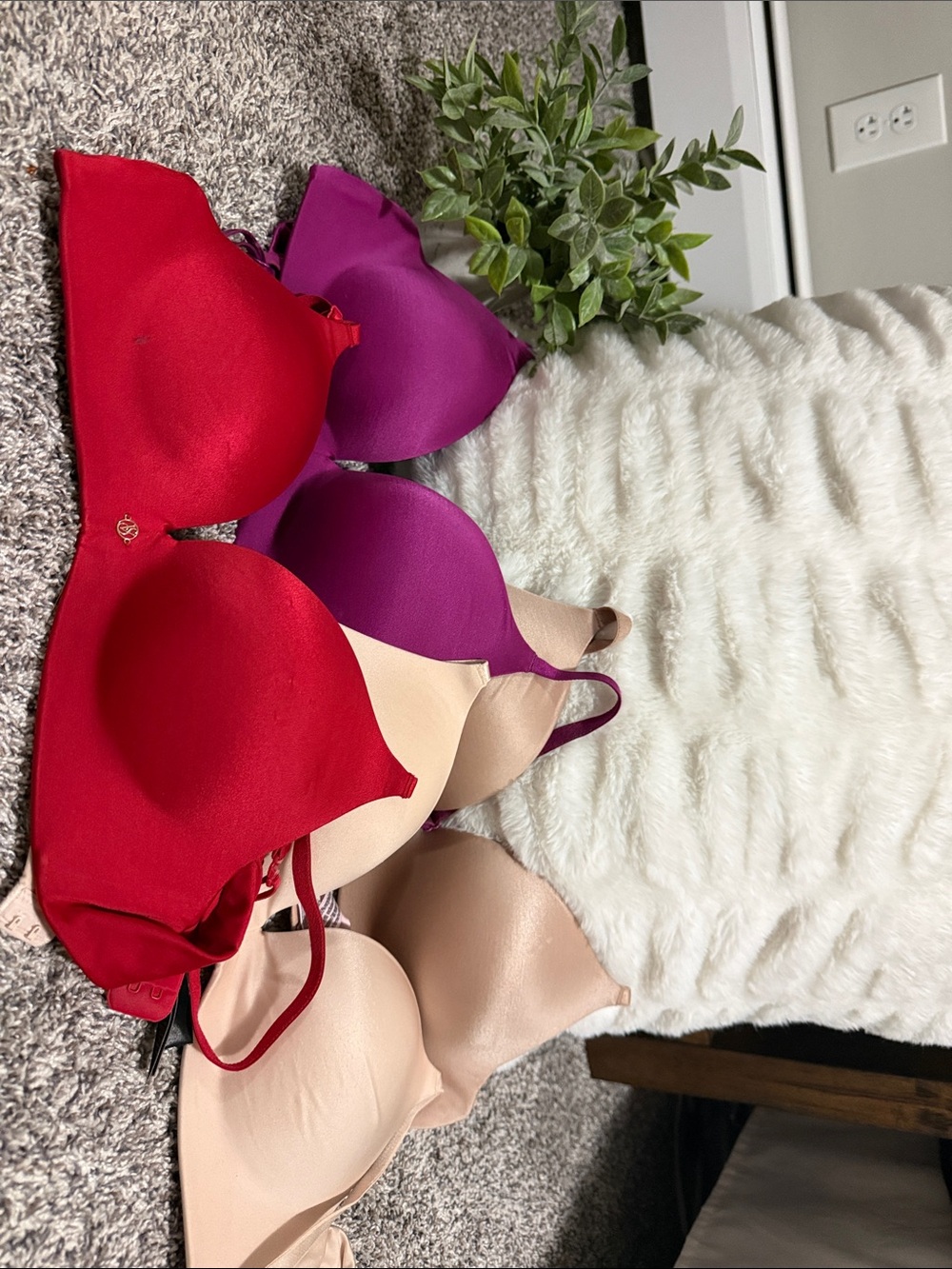 Women’s Seamless T-Shirt Bras - Red, Purple, Nude